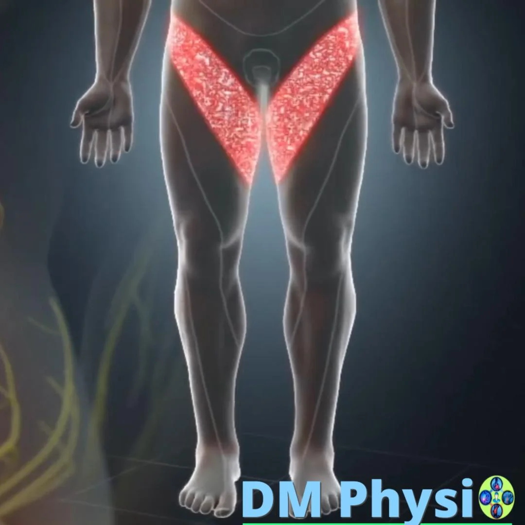 Анатомия на нервите в лумбалния гръбнак